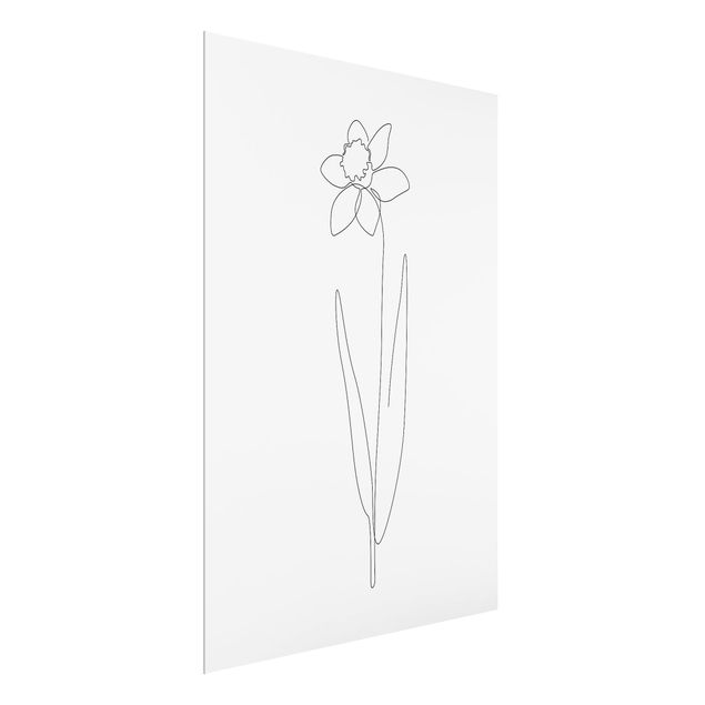 Quadro in vetro - Fiori Line Art - Narciso