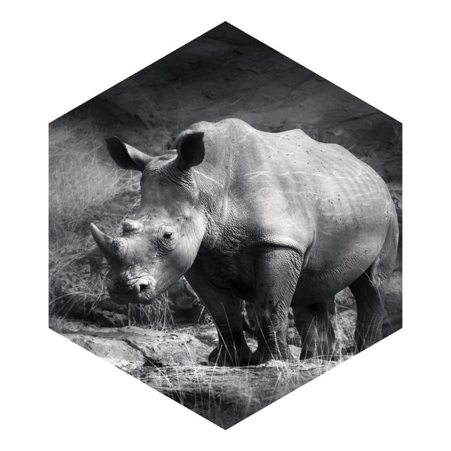 Carta da parati esagonale adesiva con disegni - Rinoceronte in solitudine