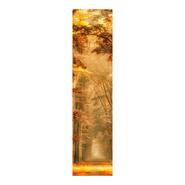 set tende a pannello Foresta incantata in autunno