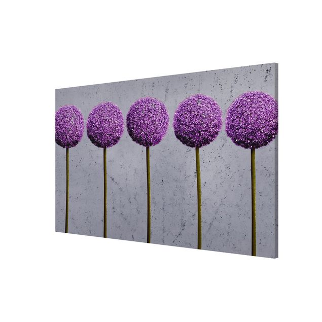Lavagna magnetica - Allium Ball Flower - Formato orizzontale 2:3
