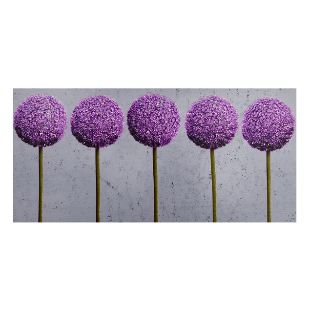 Lavagna magnetica - Allium Ball Flower - Panorama formato orizzontale