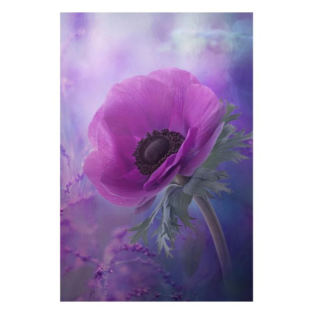 Lavagna magnetica - Anemone Flower in Violet - Formato verticale 2:3