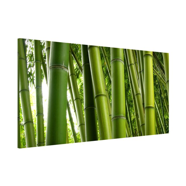 Lavagna magnetica per ufficio Alberi di bambù
