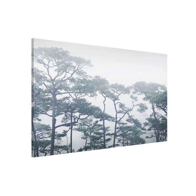 Lavagna magnetica per ufficio Cime degli alberi nella nebbia