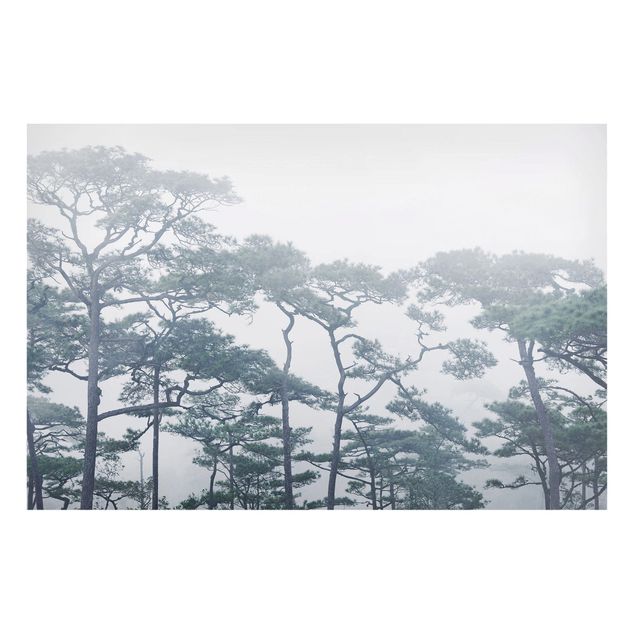 Lavagna magnetica - Treetops In Fog - Formato orizzontale 3:2