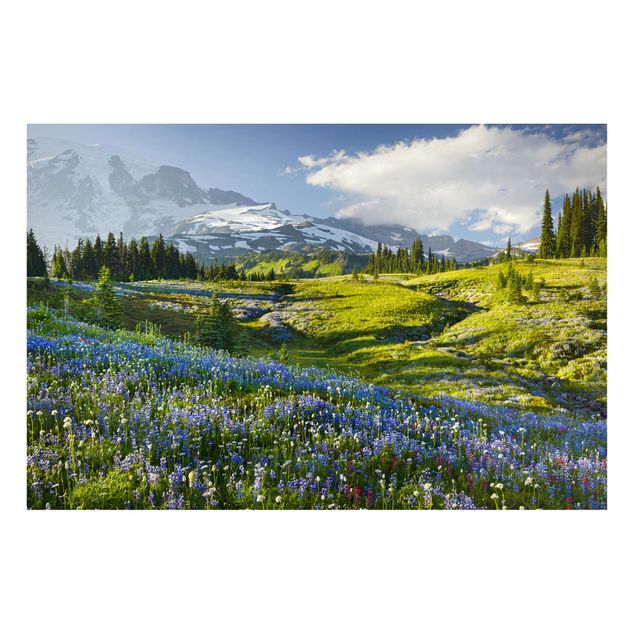 Lavagna magnetica - Prato di montagna con fiori blu davanti al monte Rainier