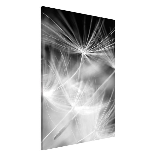 Lavagna magnetica - Moving Dandelions Close Up On Black Background - Formato verticale 4:3