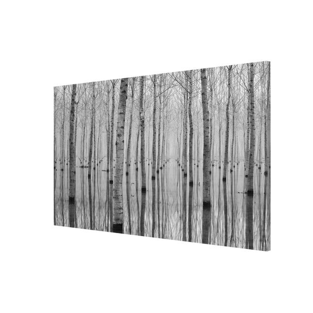 Lavagna magnetica - Birches in November - Formato orizzontale 3:2