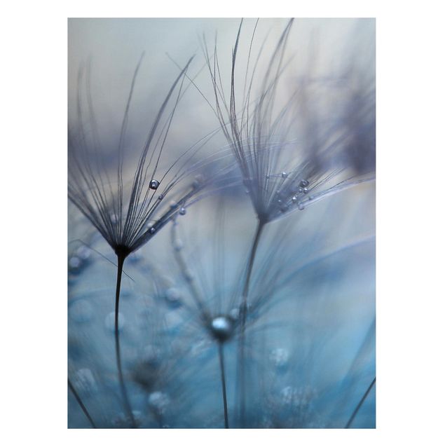 Lavagna magnetica - Piume blu Sotto La Pioggia - Formato verticale 4:3