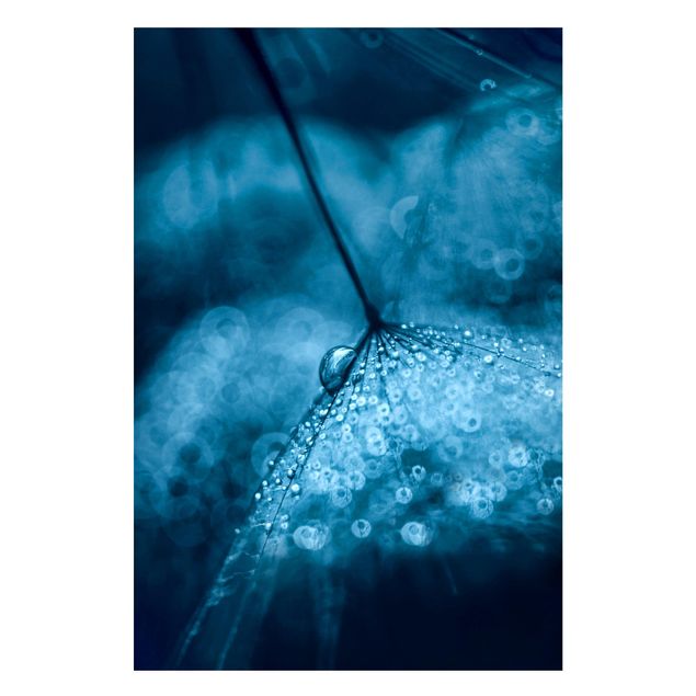 Lavagna magnetica - Tarassaco Blu In The Rain - Formato verticale 2:3
