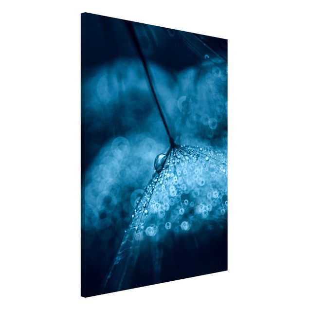 Lavagna magnetica per ufficio Soffione blu sotto la pioggia