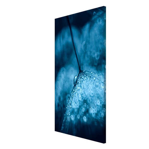 Lavagna magnetica - Tarassaco Blu In The Rain - Formato verticale 4:3