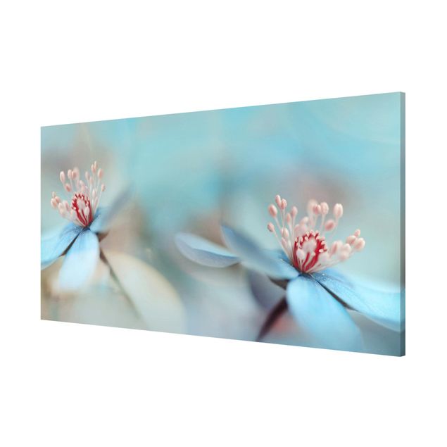 Lavagna magnetica - Flowers in Light Blue - Panorama formato orizzontale