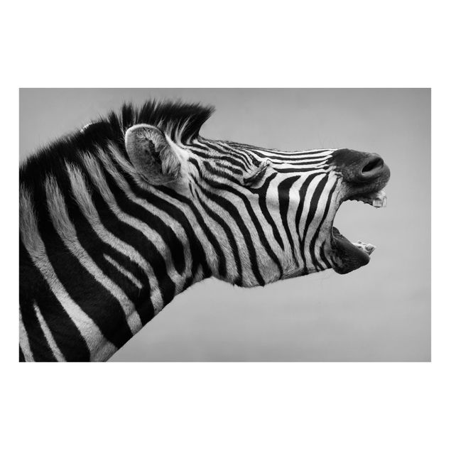 Lavagna magnetica per ufficio Zebra ruggente ll