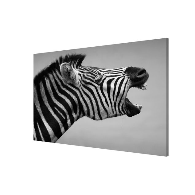 Lavagna magnetica - Rawling Zebra II - Formato orizzontale