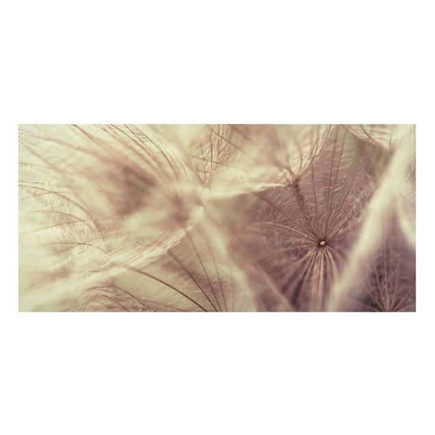 Lavagna magnetica - Detailed And Dandelion Macro Shot With Vintage Blur Effect - Panorama formato orizzontale
