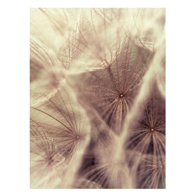 Lavagna magnetica - Detailed And Dandelion Macro Shot With Blur Effect - Formato verticale 4:3