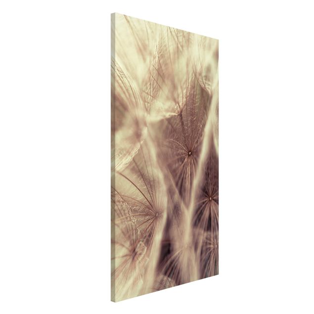 Lavagna magnetica per ufficio Detailed And Dandelion Macro Shot With Blur Effect