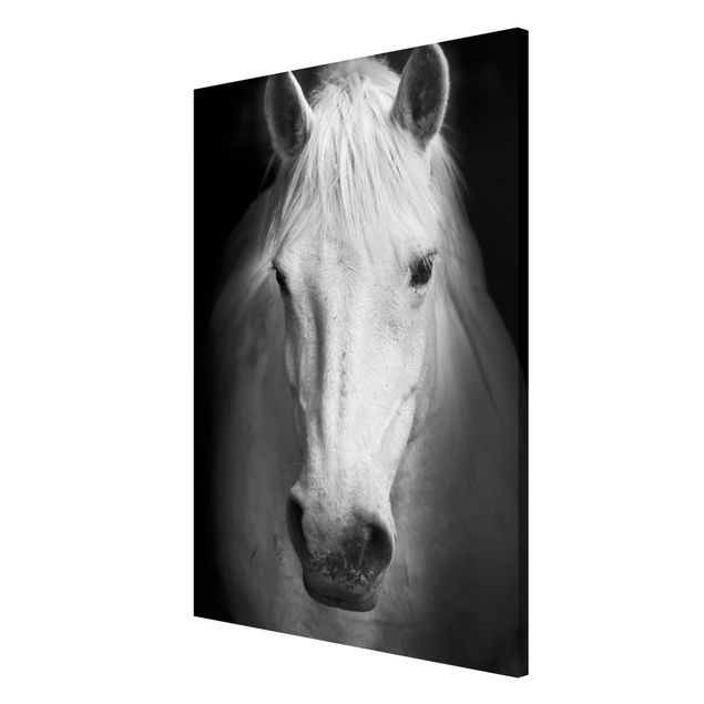 Lavagna magnetica - Dream Of A Horse - Formato verticale