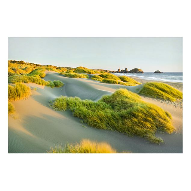 Lavagna magnetica - Dunes And Grasses At The Sea - Formato orizzontale