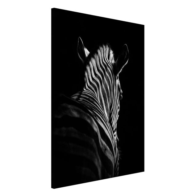 stampe animali Silhouette Zebra scuro
