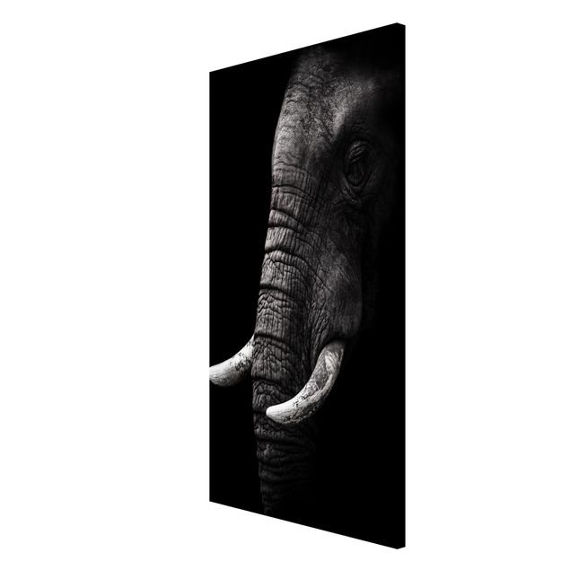 Lavagna magnetica nero Ritratto di elefante scuro