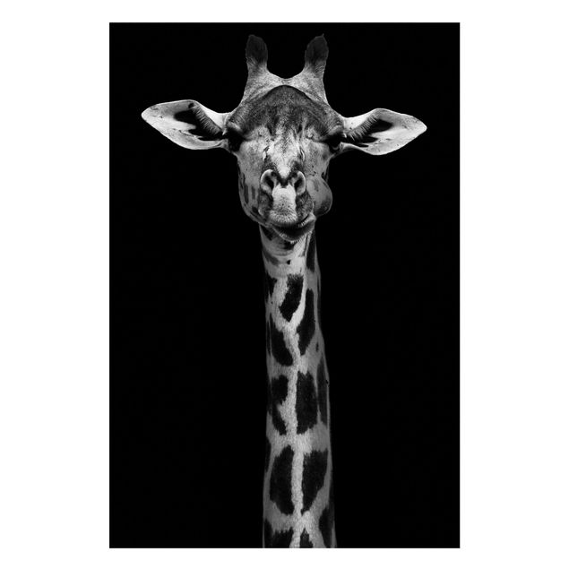 Lavagna magnetica per ufficio Ritratto di giraffa scura