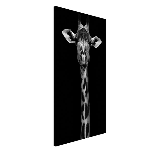 quadri con animali Ritratto di giraffa scura