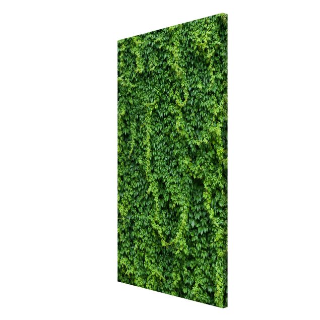 Lavagna magnetica - Ivy - Formato verticale 4:3