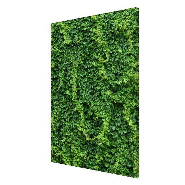 Lavagna magnetica - Ivy - Formato verticale