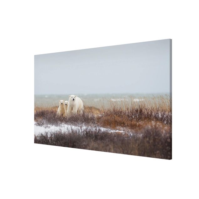 Lavagna magnetica - Orso polare e suoi cuccioli - Formato orizzontale 3:2