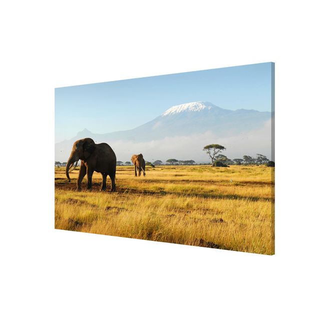 Lavagna magnetica - Elephants In Front Of The Kilimanjaro In Kenya - Panorama formato orizzontale