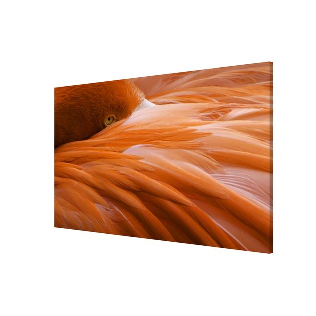 Lavagna magnetica - Flamingo Feathers - Formato orizzontale 3:2