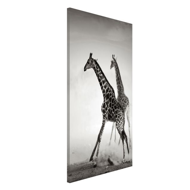 quadri con animali Giraffe a caccia