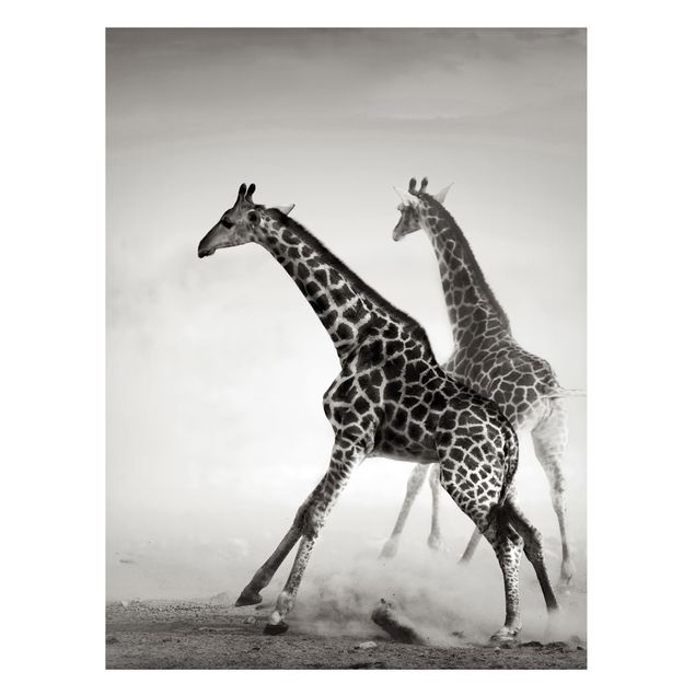 Lavagna magnetica per ufficio Giraffe a caccia