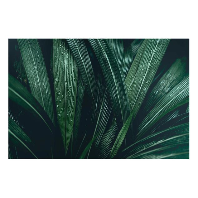 Lavagna magnetica - Green Palm Leaves - Formato orizzontale 3:2