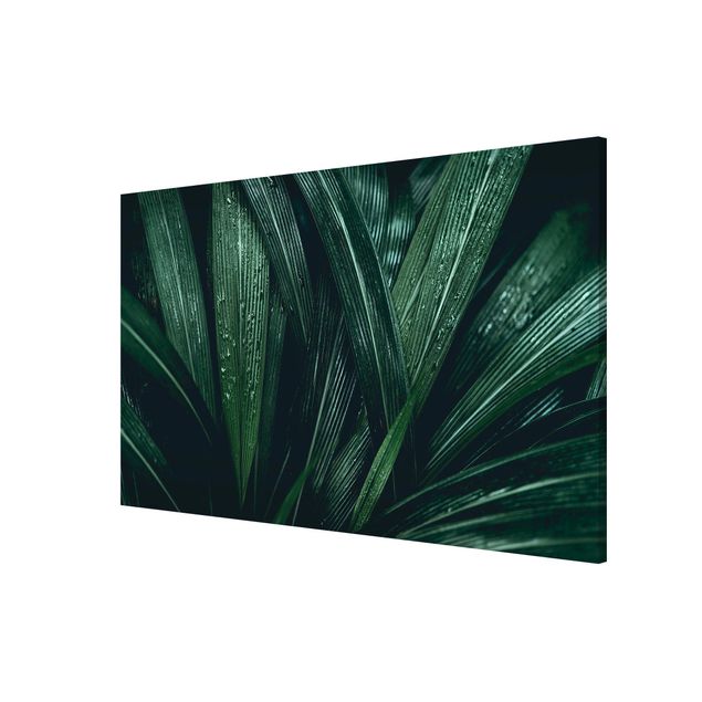 Lavagna magnetica - Green Palm Leaves - Formato orizzontale 3:2