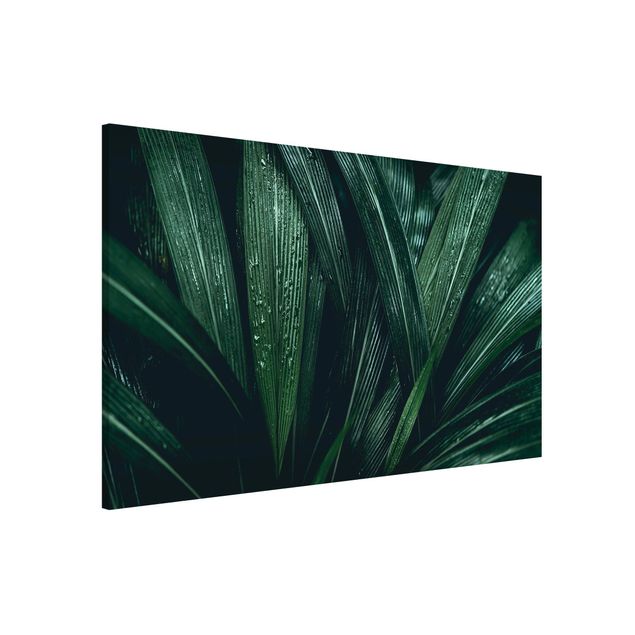 Lavagna magnetica per ufficio Foglie di palma verde