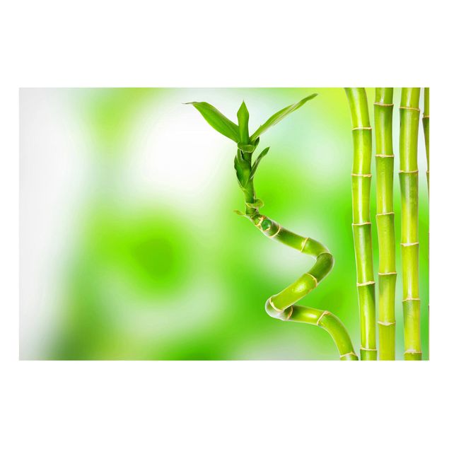 Lavagna magnetica - Green Bamboo - Formato orizzontale 3:2