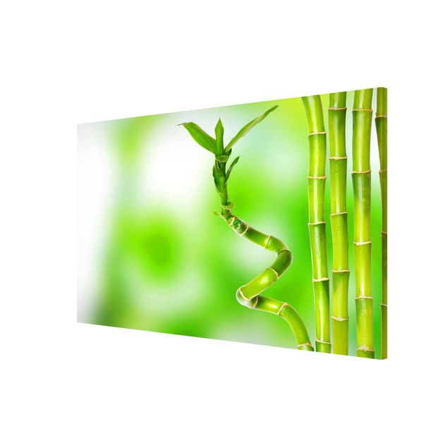 Lavagna magnetica - Green Bamboo - Formato orizzontale 3:2