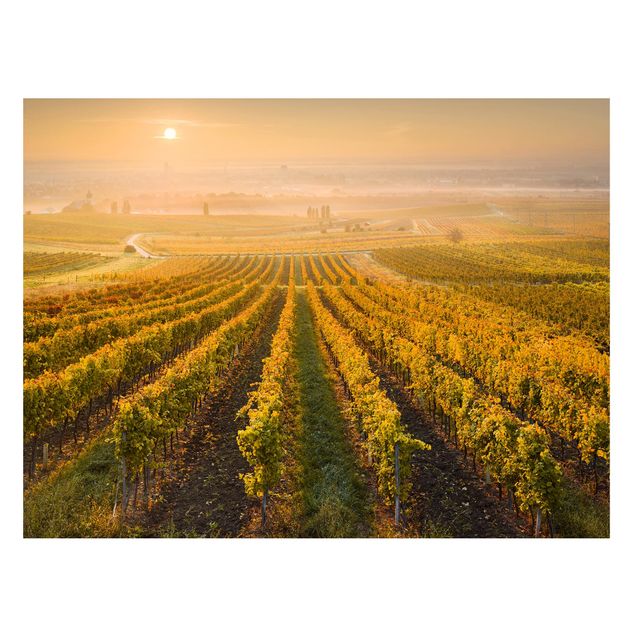 Lavagna magnetica - Autumnal Vineyards Near Vienna - Formato orizzontale 3:4