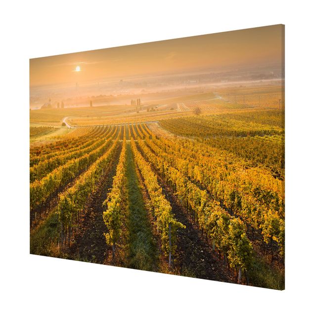 Lavagna magnetica - Autumnal Vineyards Near Vienna - Formato orizzontale 3:4