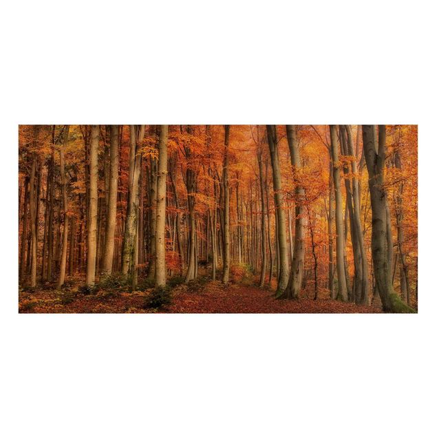 Lavagna magnetica - Autumn Walk - Panorama formato orizzontale