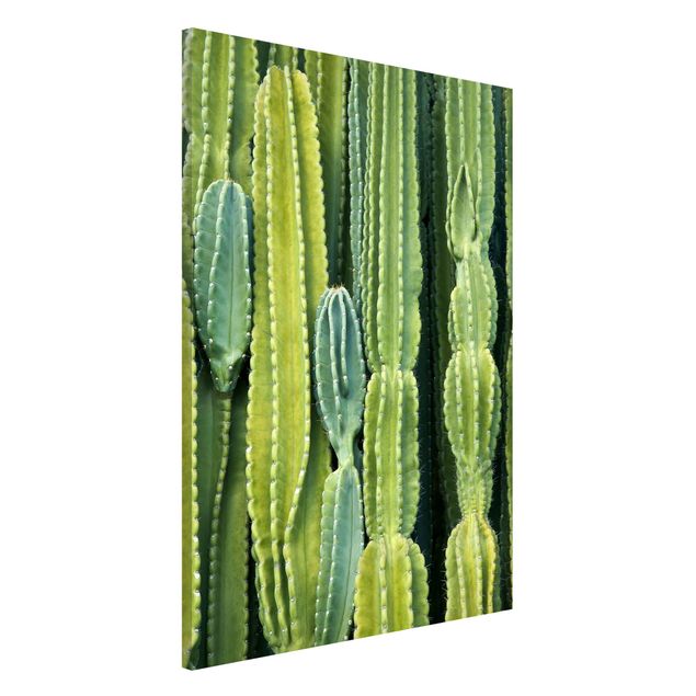 Lavagna magnetica per ufficio Muro di cactus