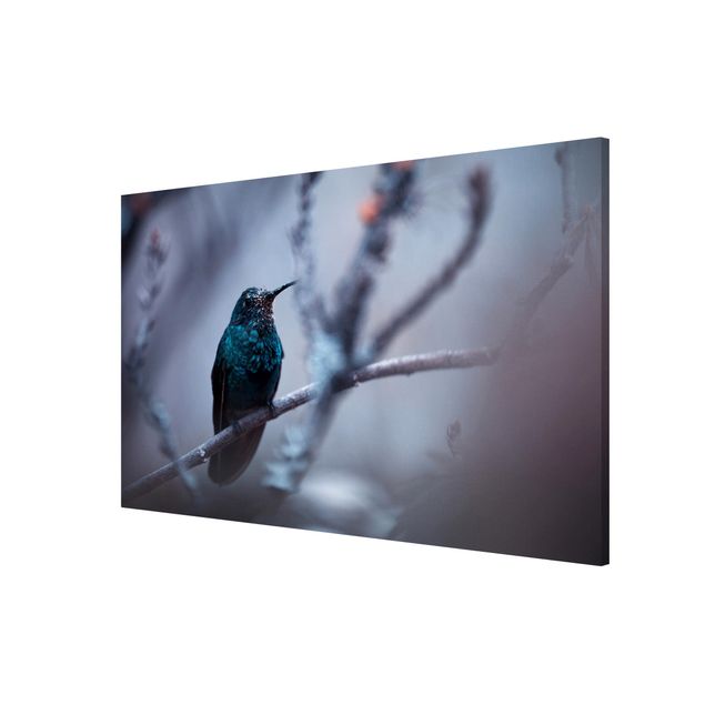 Lavagna magnetica - Hummingbird in Winter - Formato orizzontale 3:2