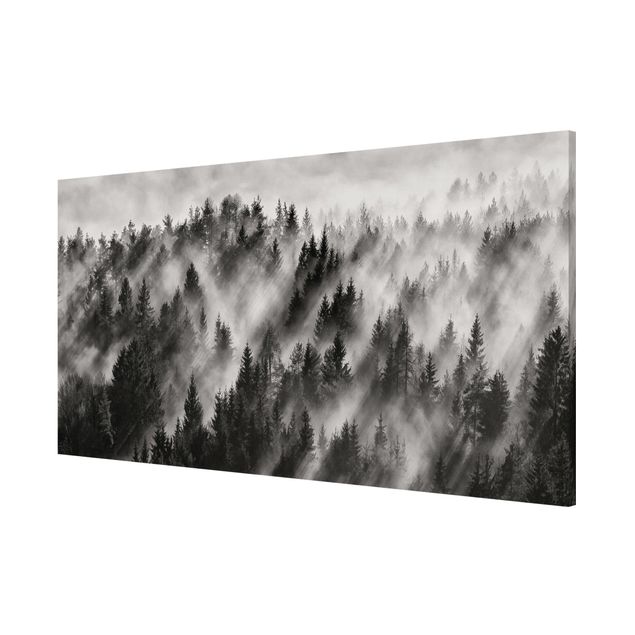 Lavagna magnetica - Raggi Luce nella foresta di conifere - Panorama formato orizzontale