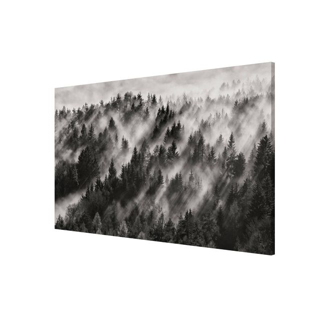 Lavagna magnetica - Raggi Luce nella foresta di conifere - Formato orizzontale 3:2