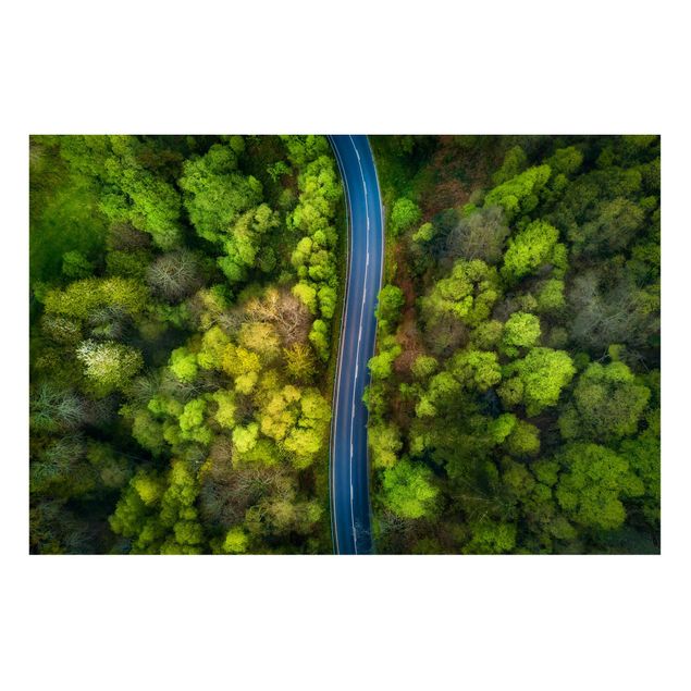 Lavagna magnetica - Veduta aerea - Strada asfaltata In The Forest - Formato orizzontale 3:2