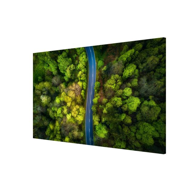 Lavagna magnetica - Veduta aerea - Strada asfaltata In The Forest - Formato orizzontale 3:2