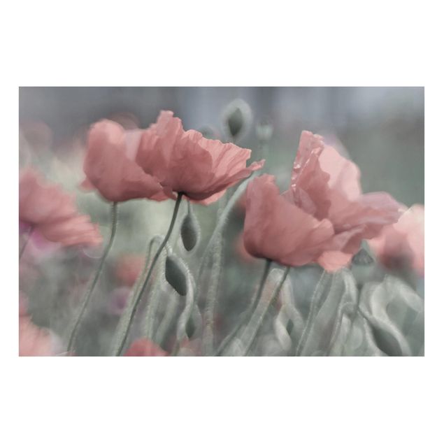 Lavagna magnetica - Painterly Poppies - Formato orizzontale 3:2